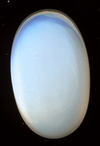 Moonstone