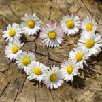 Psychic Readings by Senora