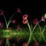 Psychic Readings by Jacqueline Gregory