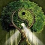 Psychic Readings by Rachel Anne