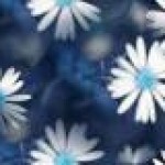 Psychic Readings by Daisy Leah