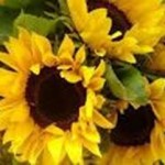 Psychic Readings by Jean Samone