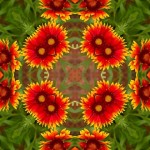 Psychic Readings by Becky Edge