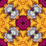 Psychic Readings by Celia Rose