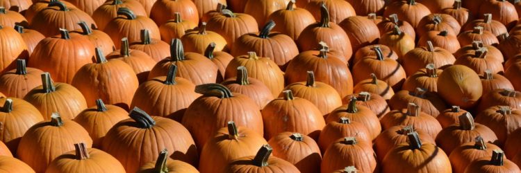 Halloween Pumpkins