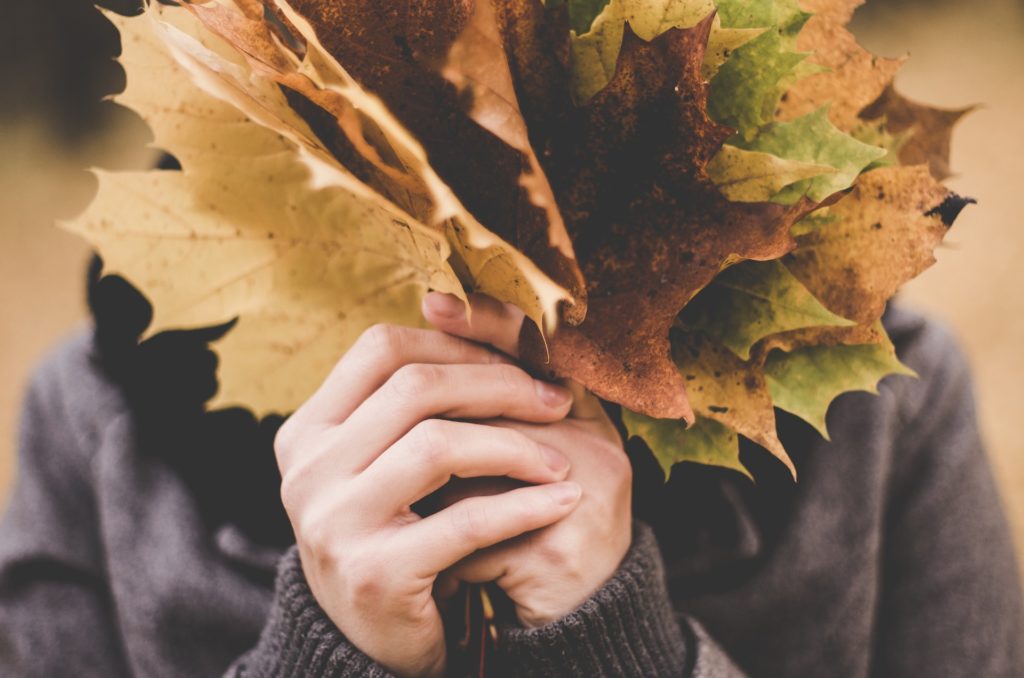 Autumn Leaves