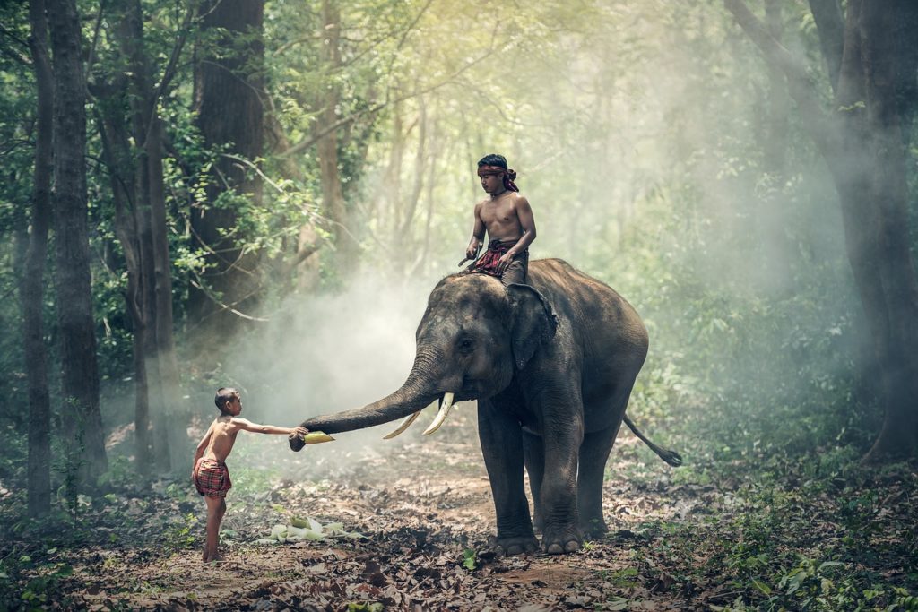 Riding an Elephant