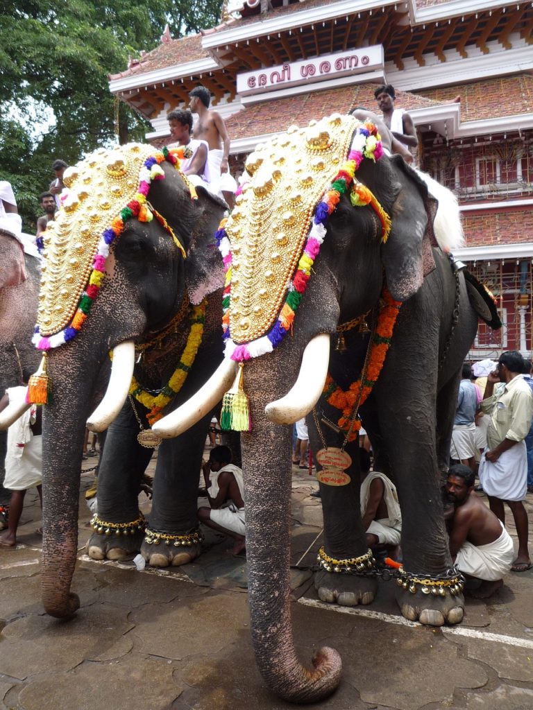 Hinduism, Elephants