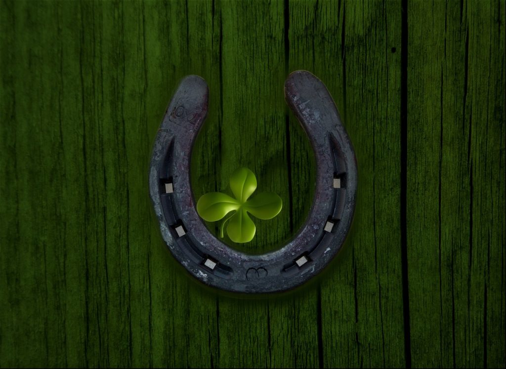 Lucky Horseshoe