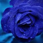 Psychic Readings by Blue Edwards