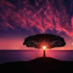 Psychic Readings by Madura Carlisle