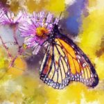 Psychic Readings by Faye Celeste