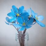 Psychic Readings by Jonet Mills