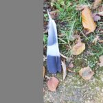 Psychic Readings by Jeanette Fowler