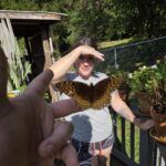 Psychic Readings by Carlin Mae