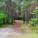 Psychic Readings by Tony Bernard