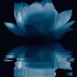 Psychic Readings by Delilah Spencer