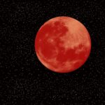 Psychic Readings by Belladonna Strauss