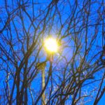 Psychic Readings by Nikki Wade