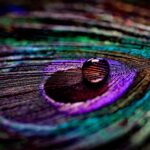 Psychic Readings by Sage Noir
