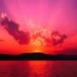 Psychic Readings by Amy Marie