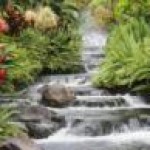 Psychic Readings by Bella Cantebury