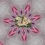 Psychic Readings by Camille Allen