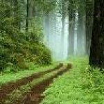 Psychic Readings by Devane Roberts