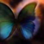 Psychic Readings by May Ashford