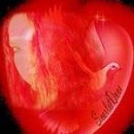 Psychic Readings by Scarlet Dove