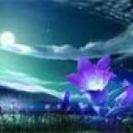 Psychic Readings by Trishaunna