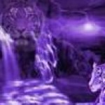 Psychic Readings by White Tiger