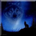 Psychic Readings by The Spirit Wolf